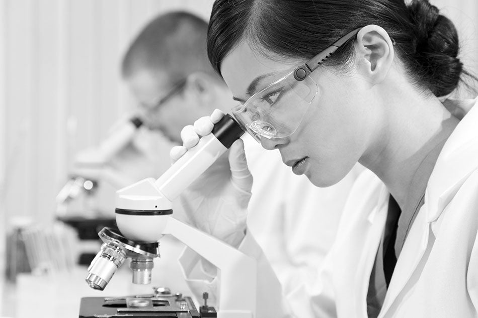 The Eklund Foundation Allocates EUR 160,000 to Odontological Research in 2018