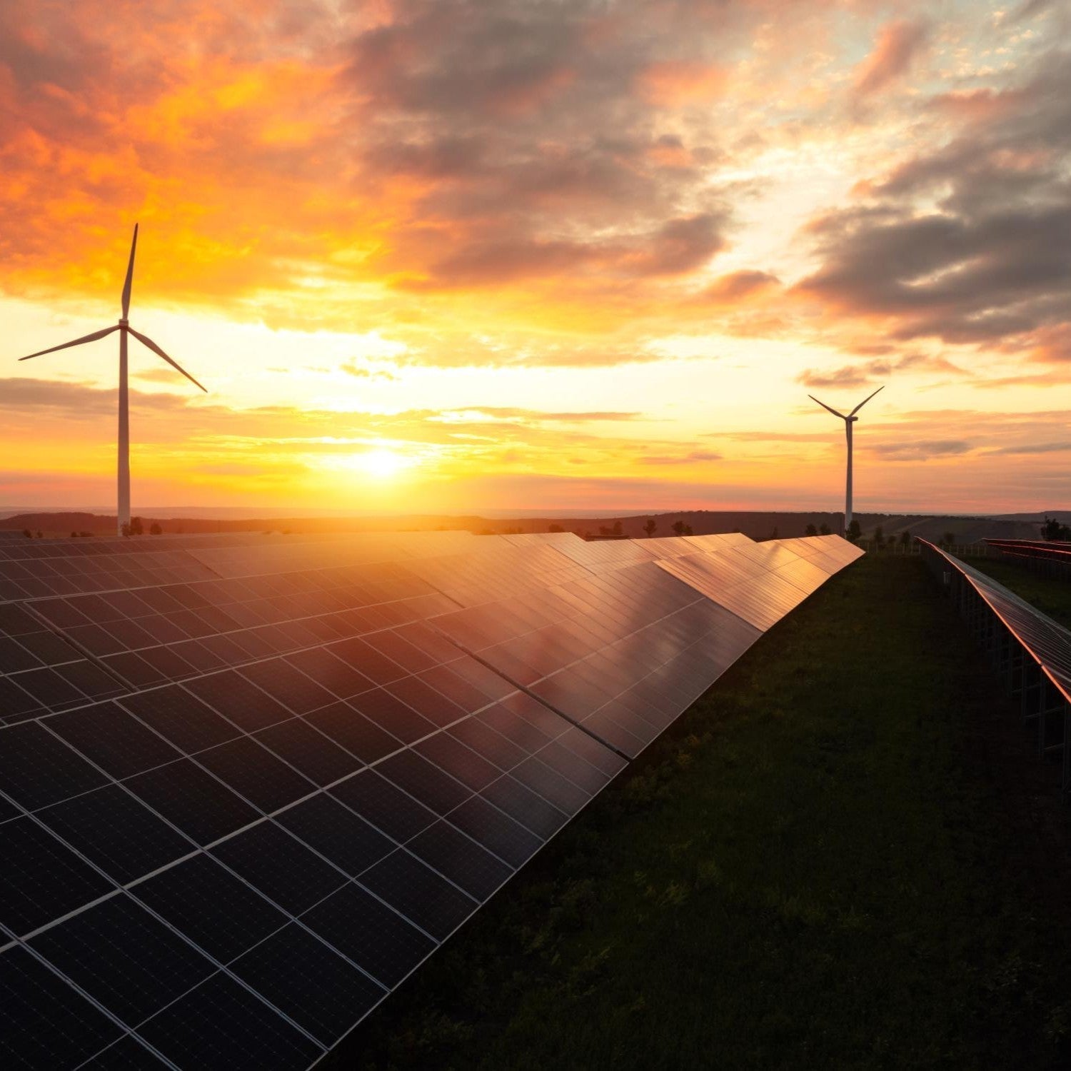 Sustainability: A Journey that Matters